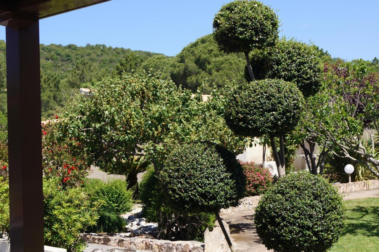Les Jardins De Santa Giulia - Charmante Chambre D'Hote ポルトヴェッキオ エクステリア 写真